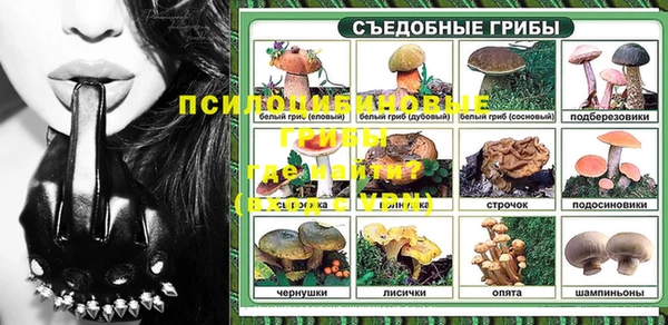 дживик Аркадак