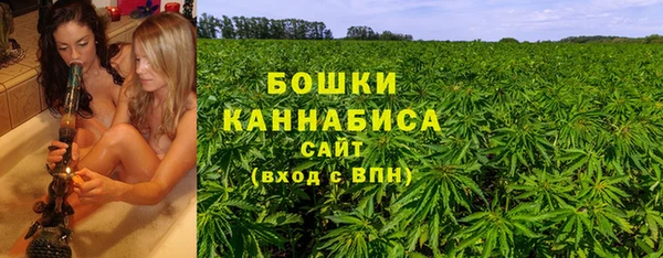 спайс Арсеньев