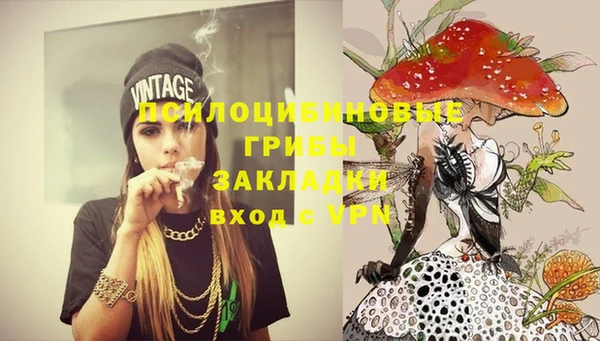 дживик Аркадак