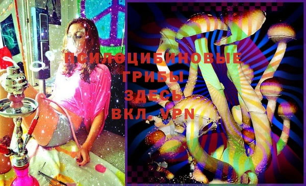 спайс Арсеньев