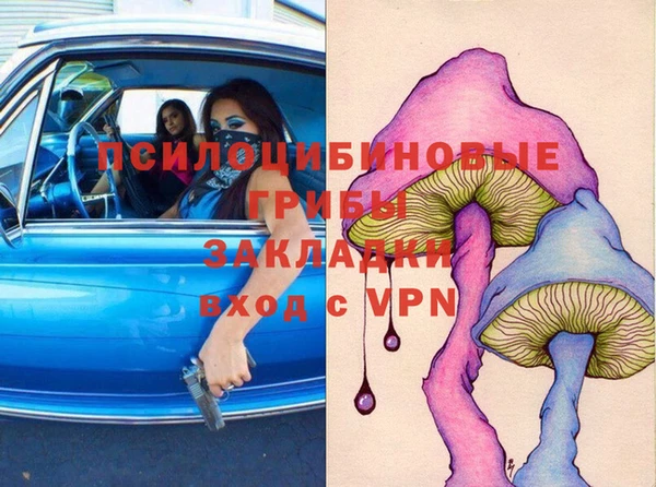 спайс Арсеньев