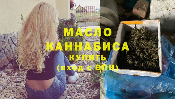 СК Алексин