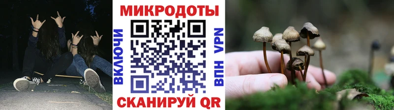 OMG tor Сольвычегодск Псилоцибиновые грибы MAGIC MUSHROOMS